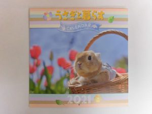 うさぎと暮らすカレンダー2021 入荷しています お知らせ うさぎ専門店 ロップ ロップ